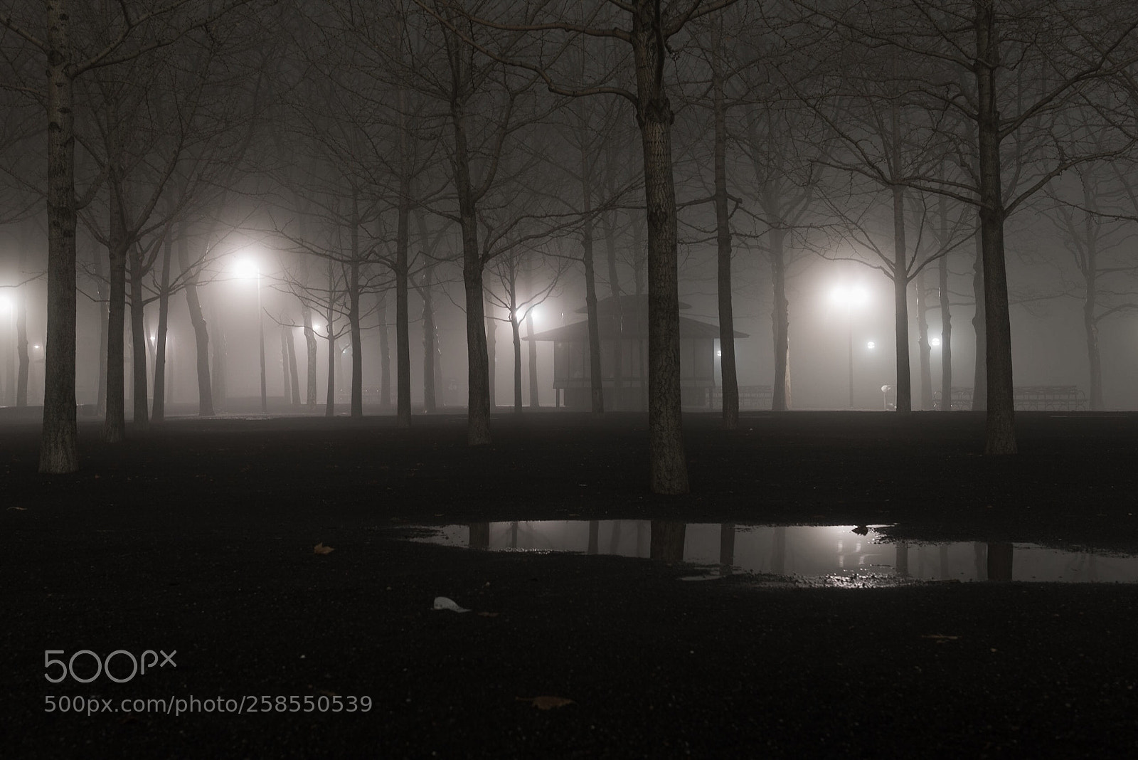 Nikon D810 sample photo. At night ii photography