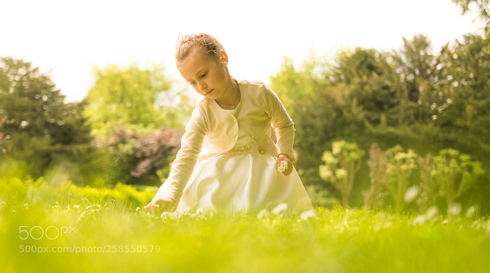 Nikon D5300 sample photo. Picking flowers photography