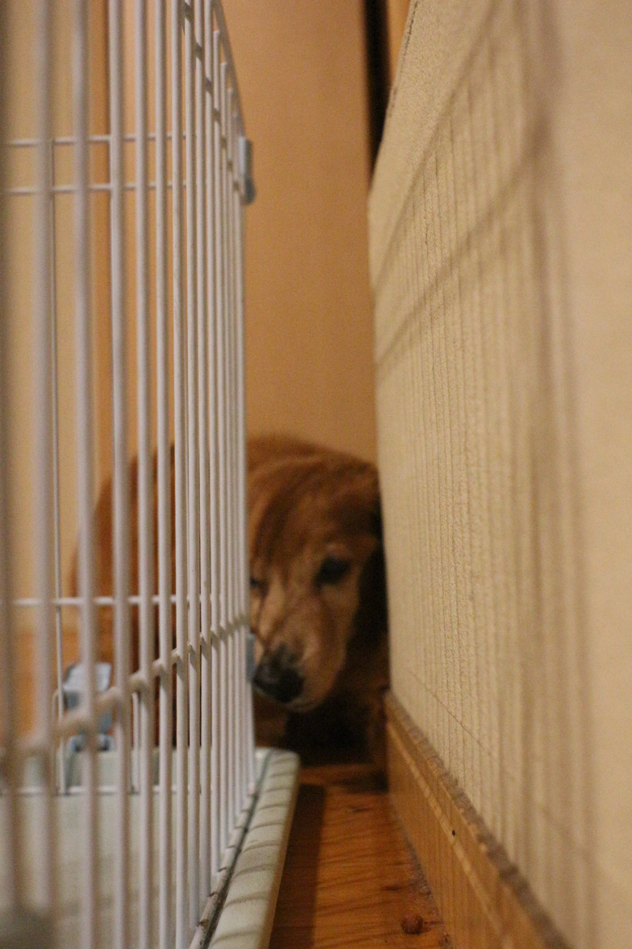 Canon EOS 100D (EOS Rebel SL1 / EOS Kiss X7) sample photo. Liner perspective photography