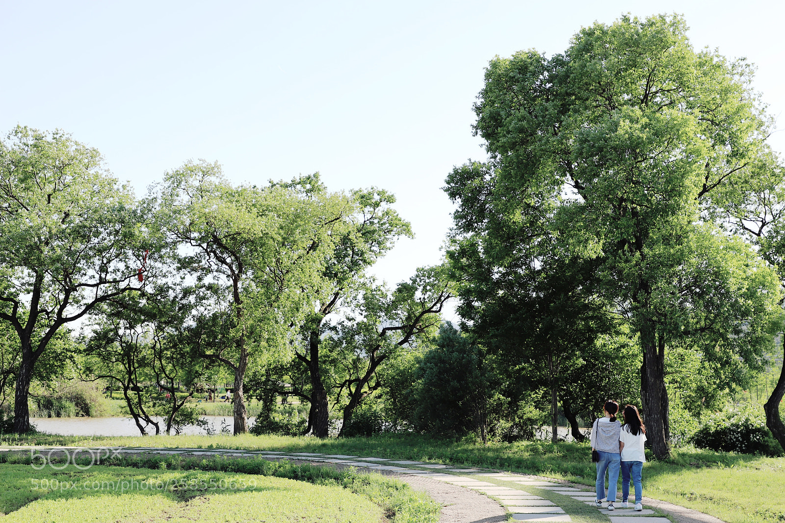Canon EOS 6D Mark II sample photo. Riverside garden photography