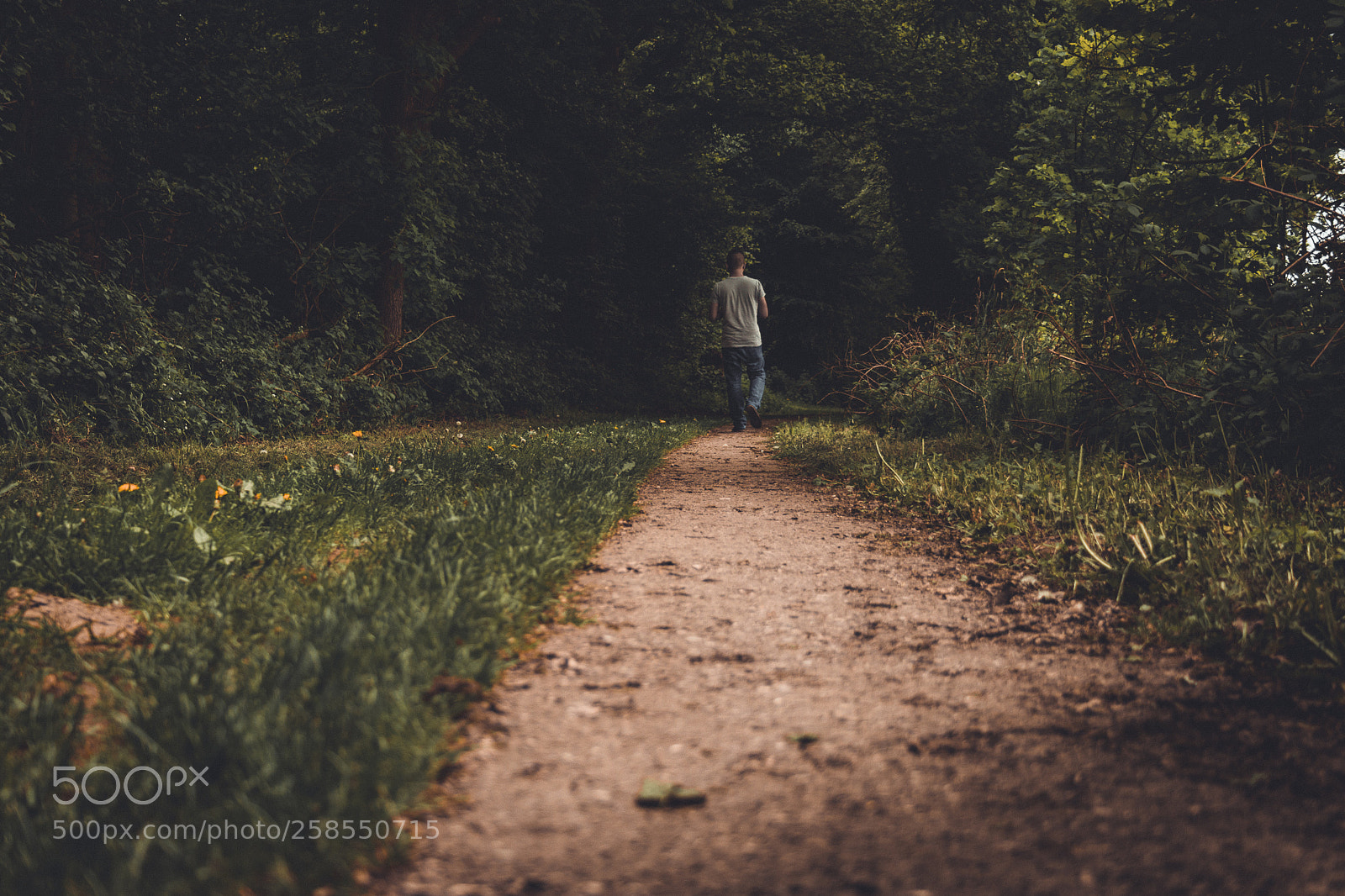 Canon EOS 80D sample photo. Walking alone! photography
