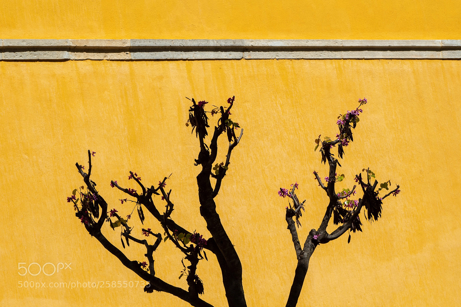 Canon EOS 1300D (EOS Rebel T6 / EOS Kiss X80) sample photo. Warmth photography