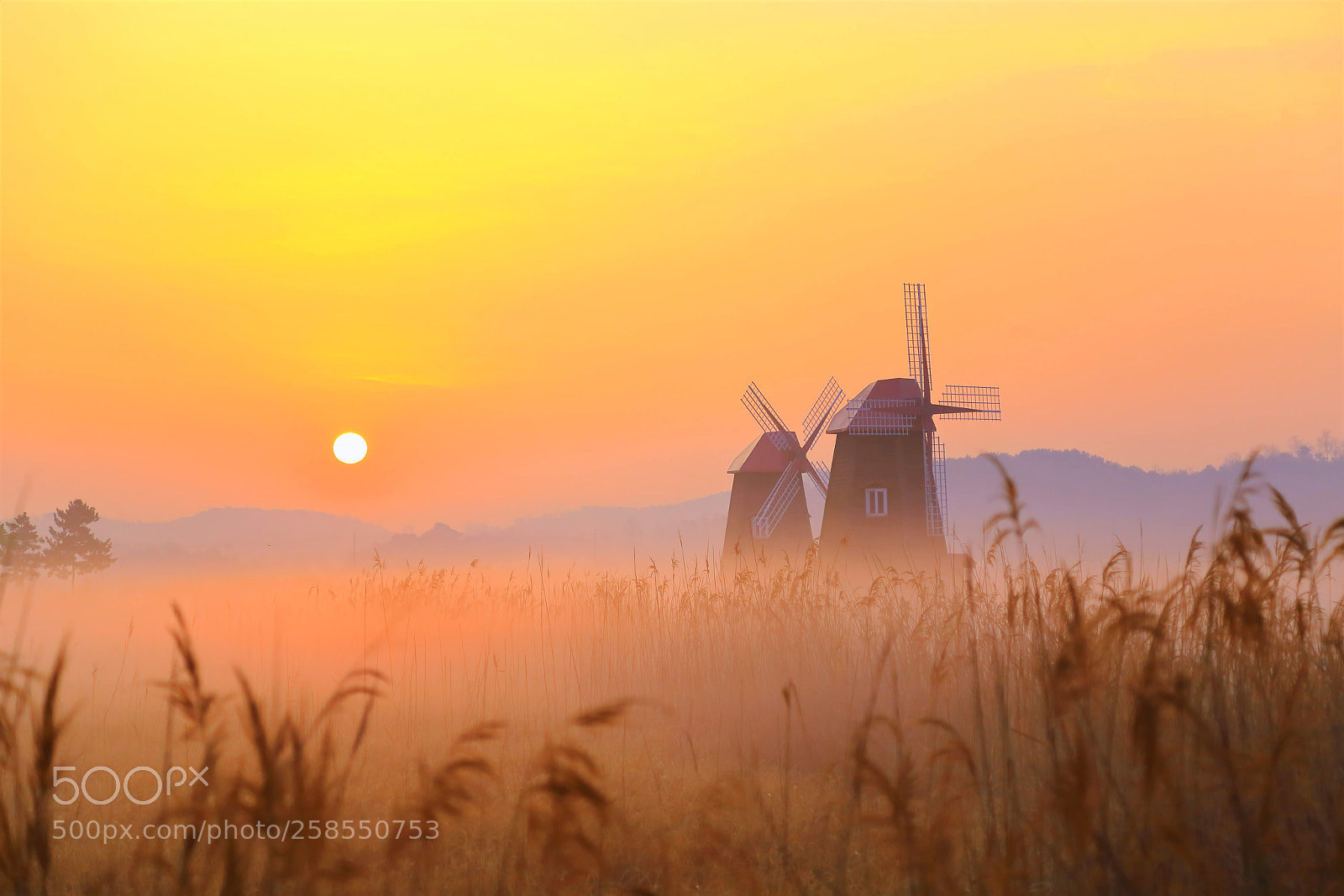 Canon EOS 6D sample photo. A misty sunrise photography