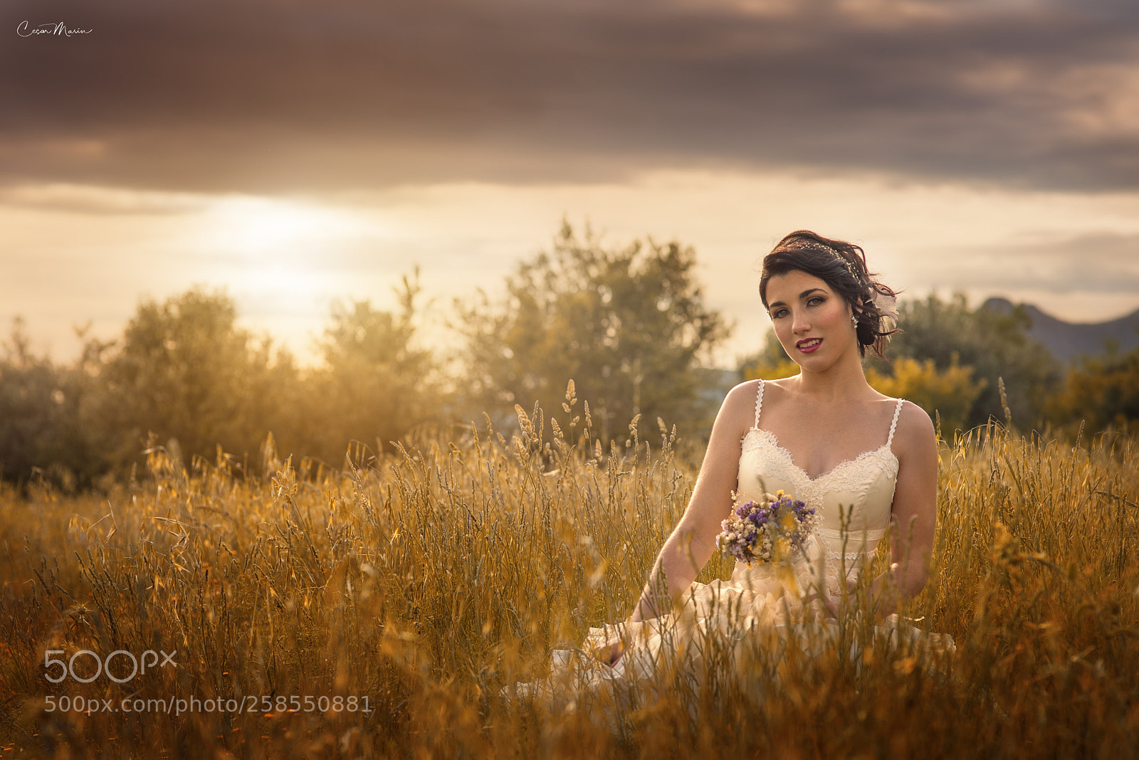 Nikon D750 sample photo. Summer photography