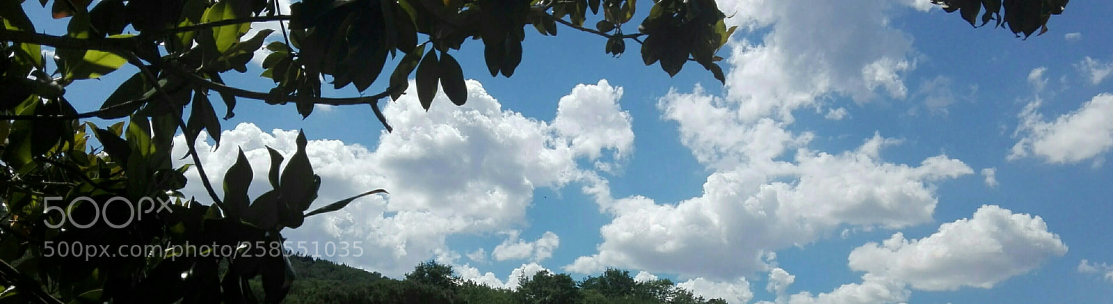HUAWEI P8 Lite sample photo. Simple life photography
