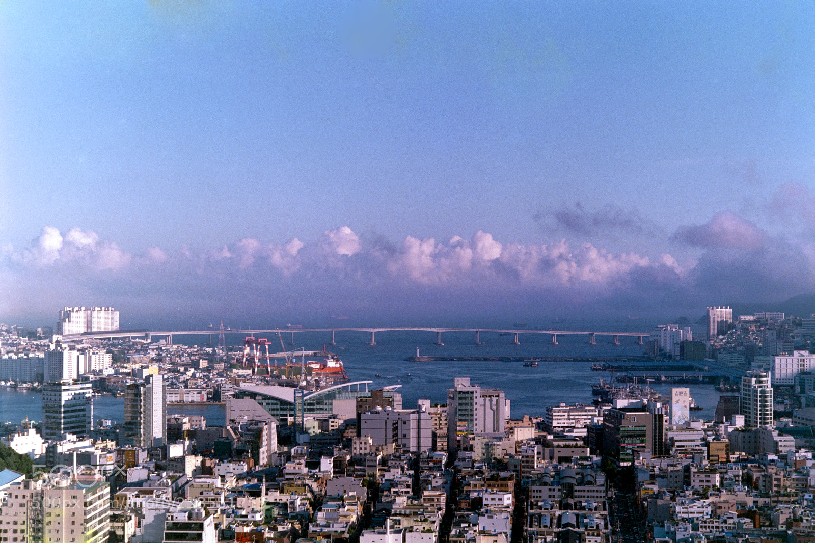 Nikon D810 sample photo. Konica centuria super 100 photography