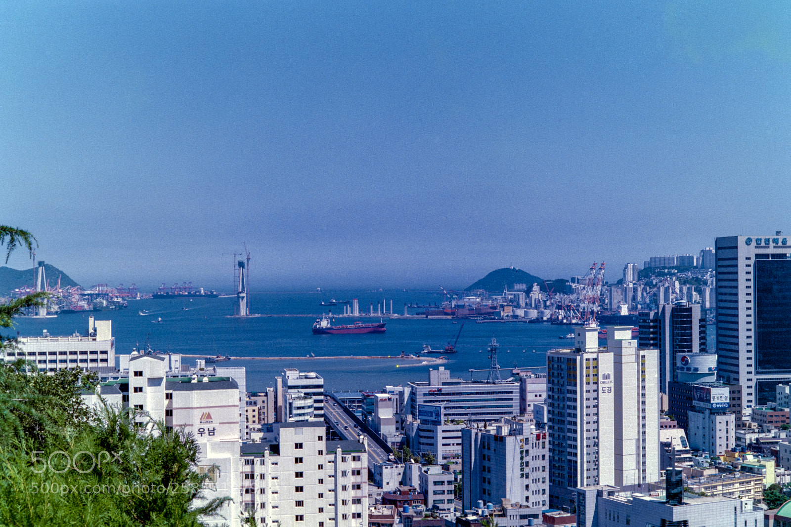 Nikon D810 sample photo. Konica centuria super 100 photography