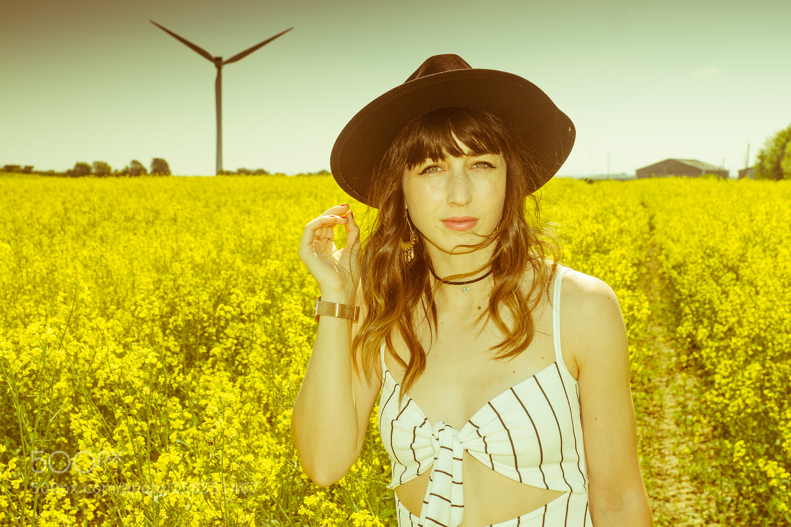 Sony ILCA-77M2 sample photo. Golden field photography