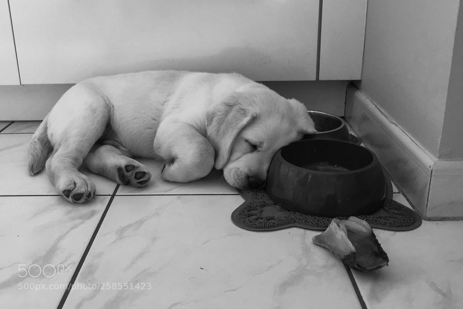 Apple iPhone 6 sample photo. Sleepyhead photography