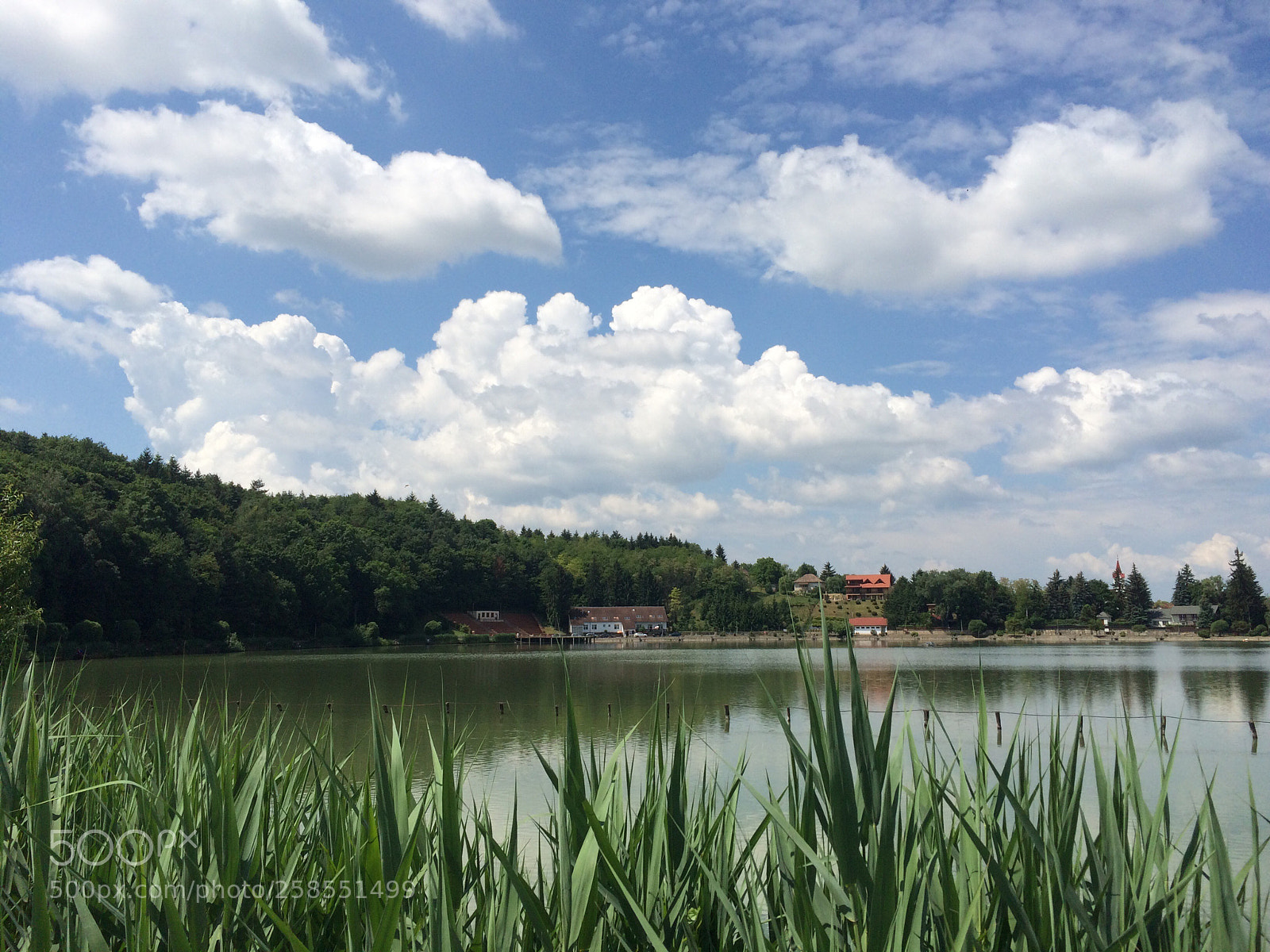 Apple iPhone 5s sample photo. Bánk photography