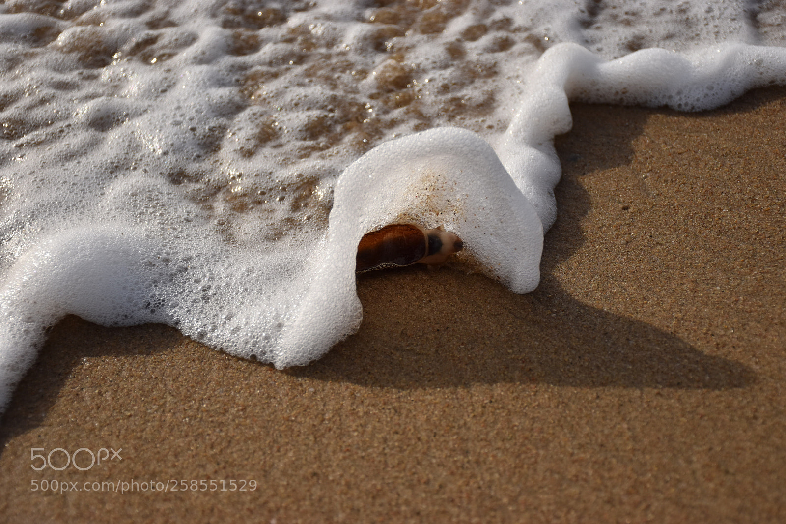 Nikon D5600 sample photo. Wave photography