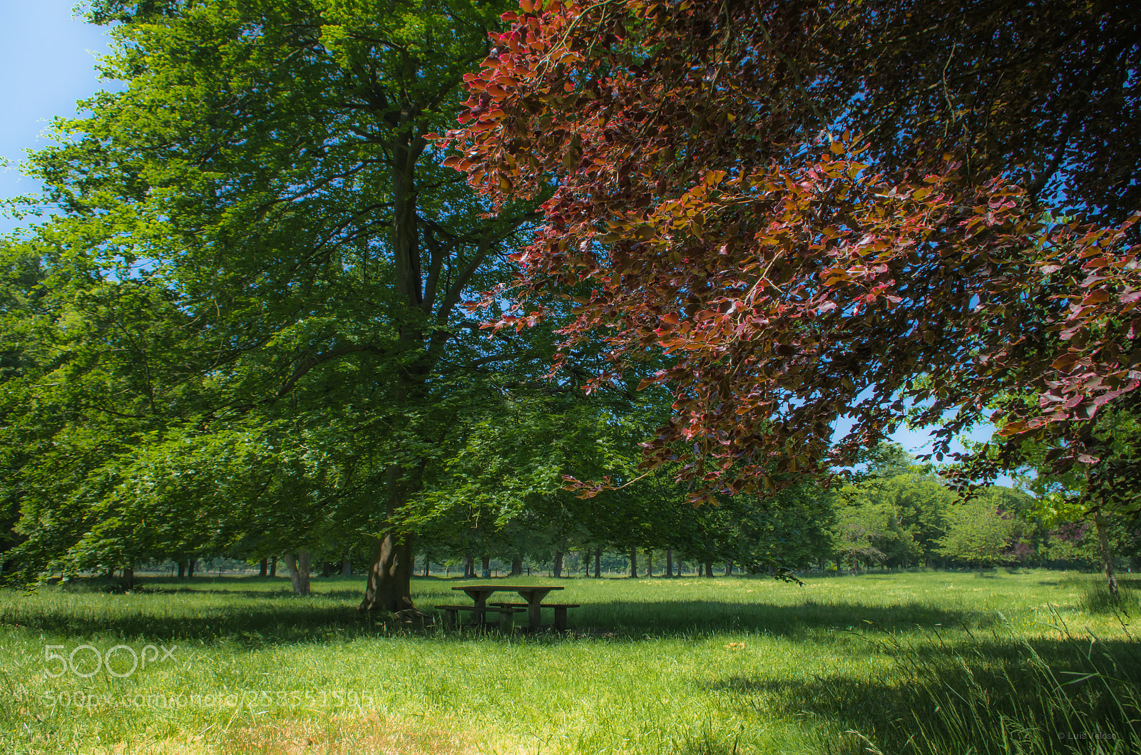 Pentax K-30 sample photo. Versailles parc photography