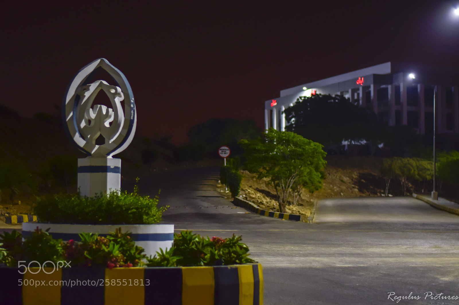 Nikon D5300 sample photo. Elegent photography