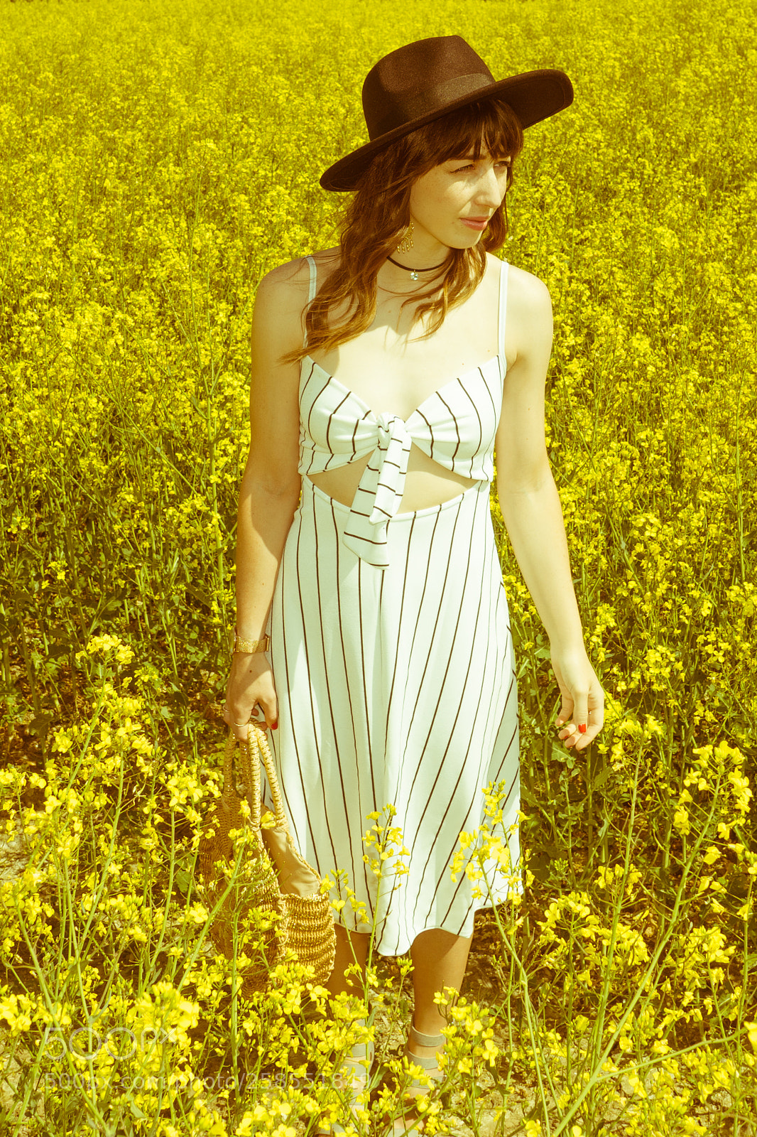 Sony ILCA-77M2 sample photo. Sunny days photography