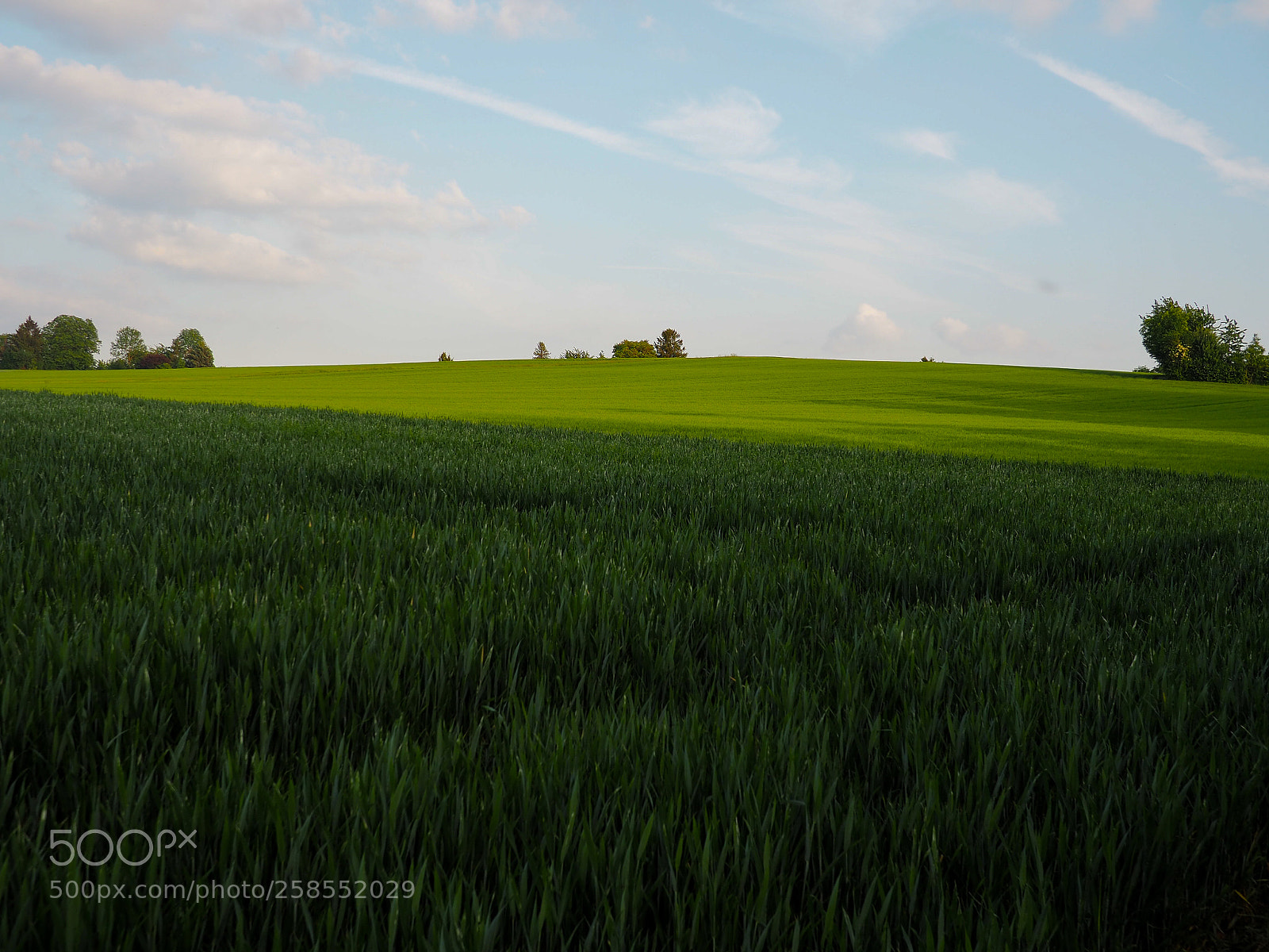 Olympus OM-D E-M5 II sample photo. The hill photography