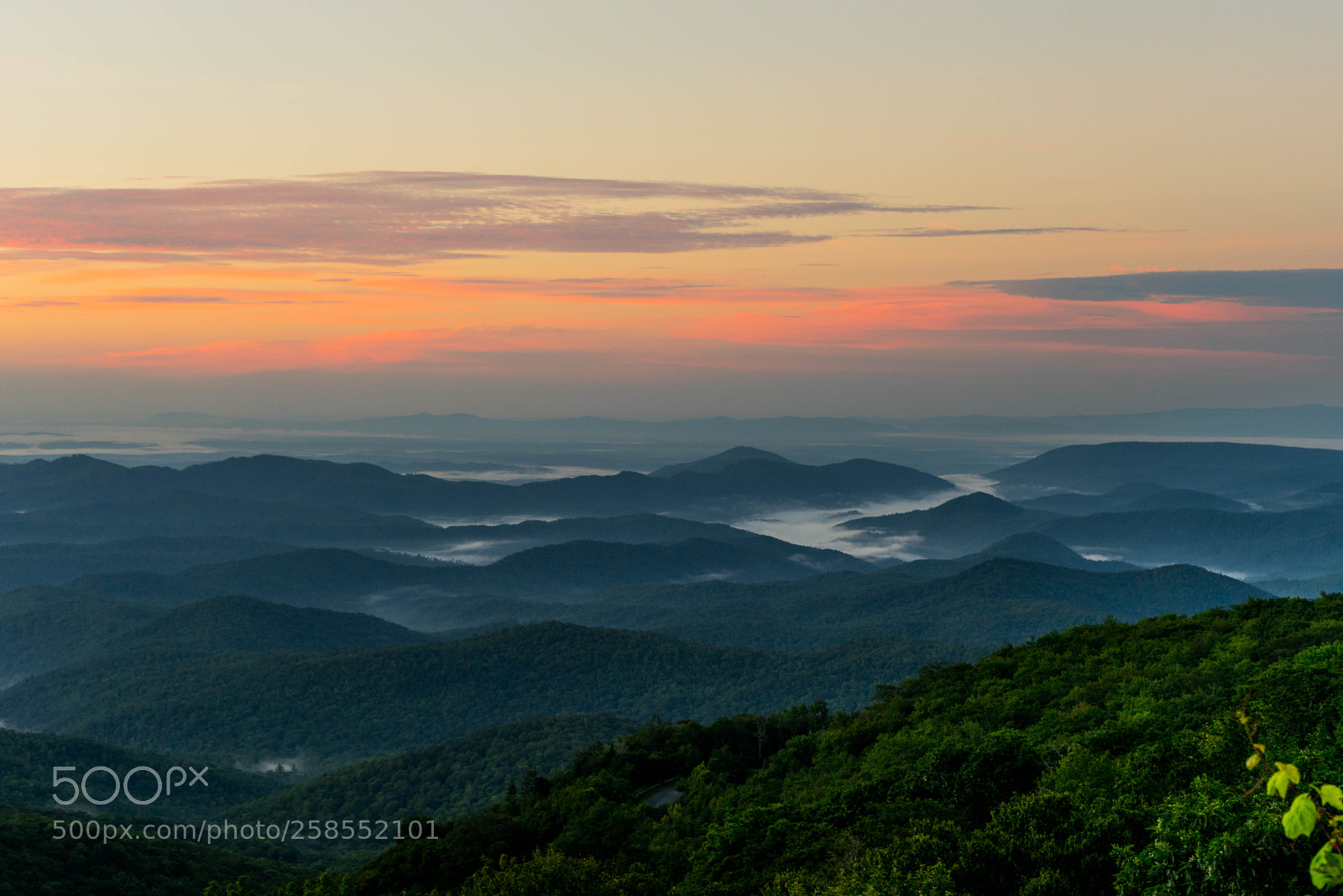 Sony a7 II sample photo. Morning on the parkway photography
