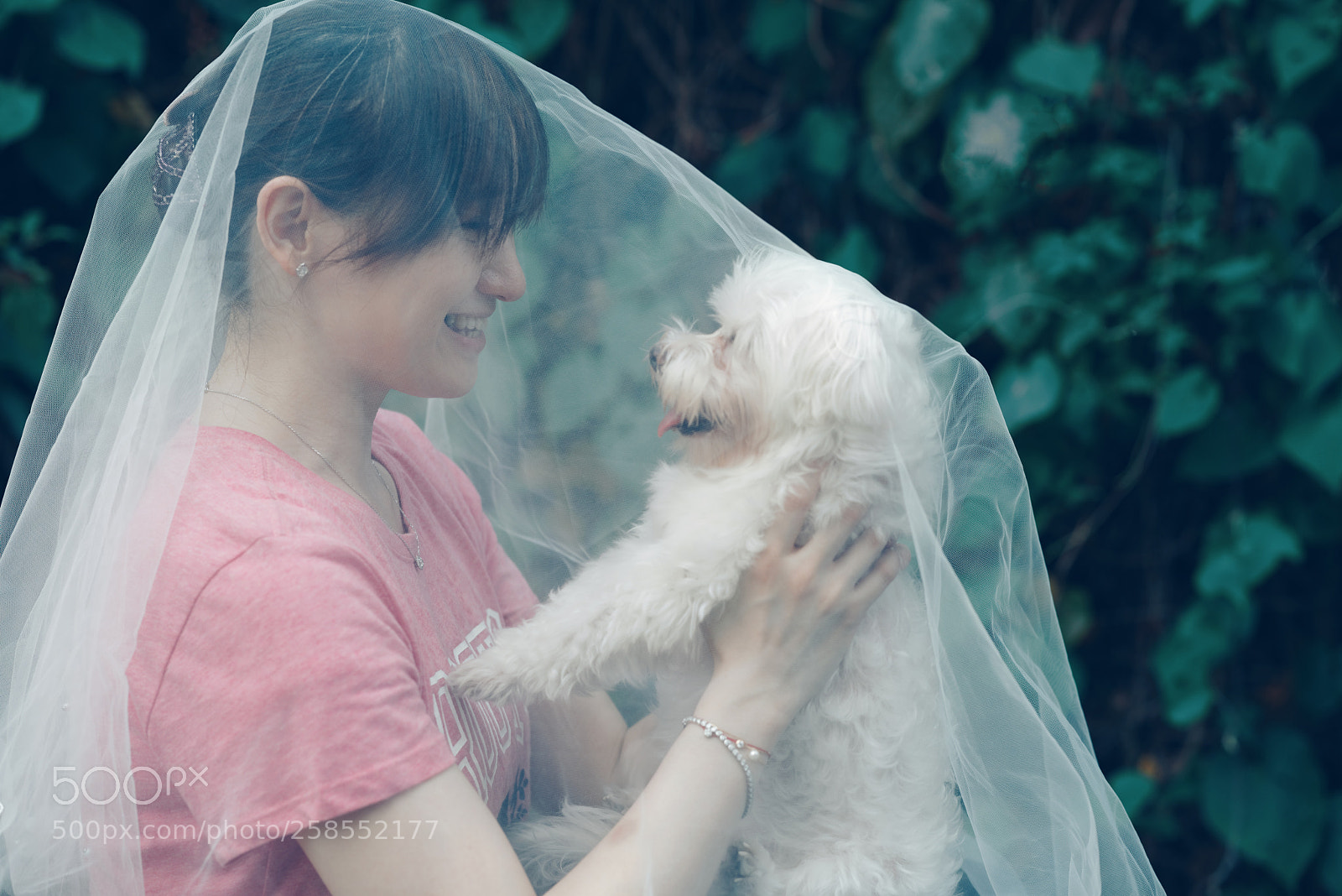 Nikon D750 sample photo. 為了與你相遇 photography