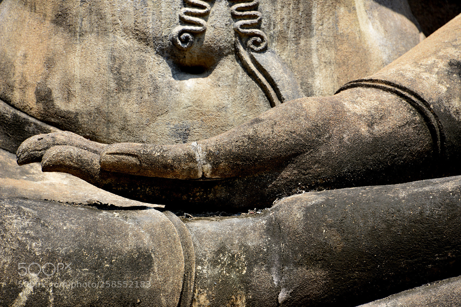 Nikon D800 sample photo. Hand of buddha photography