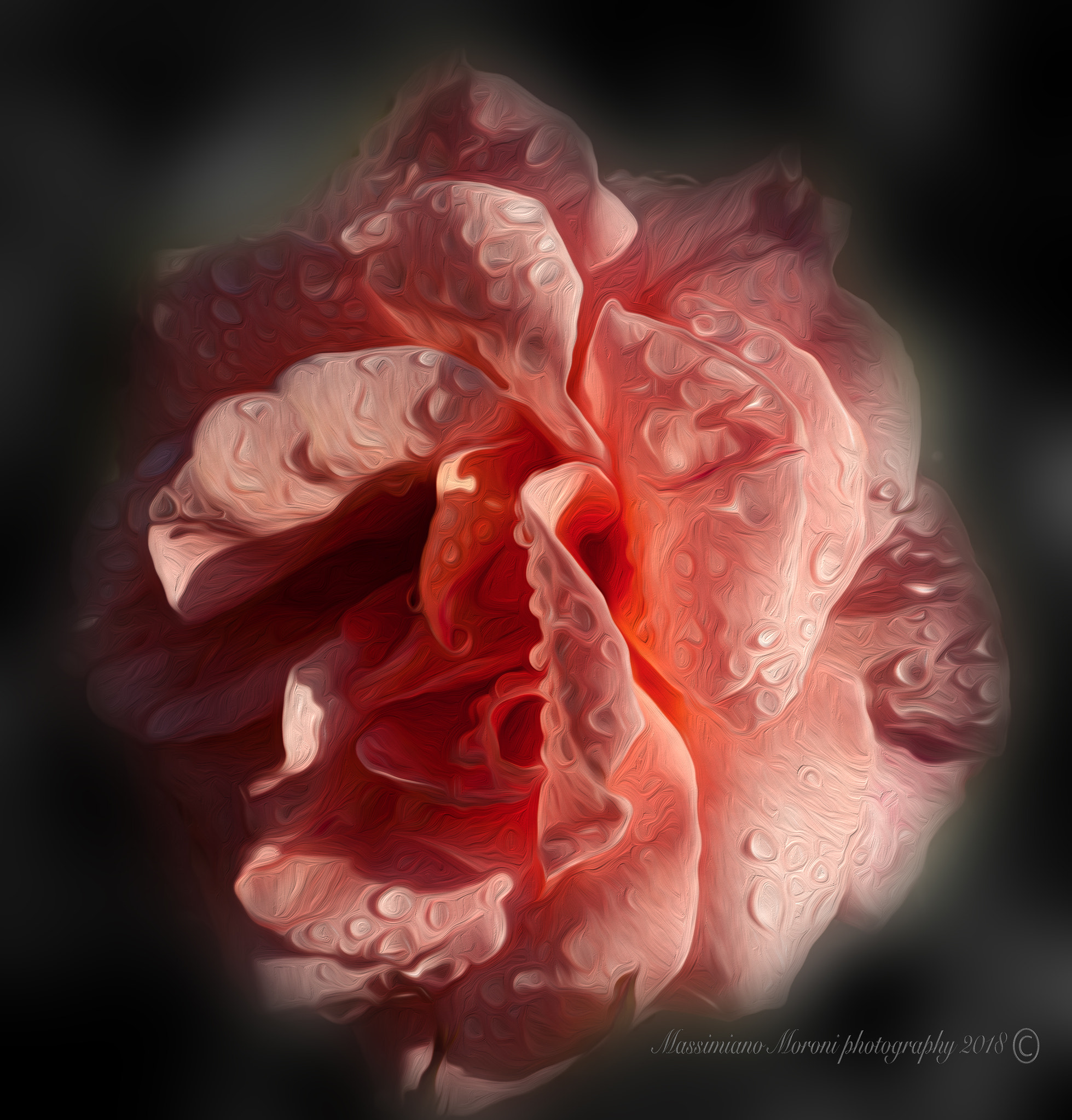 Pentax K20D sample photo. Euroflora 2018 rosa effetto olio photography