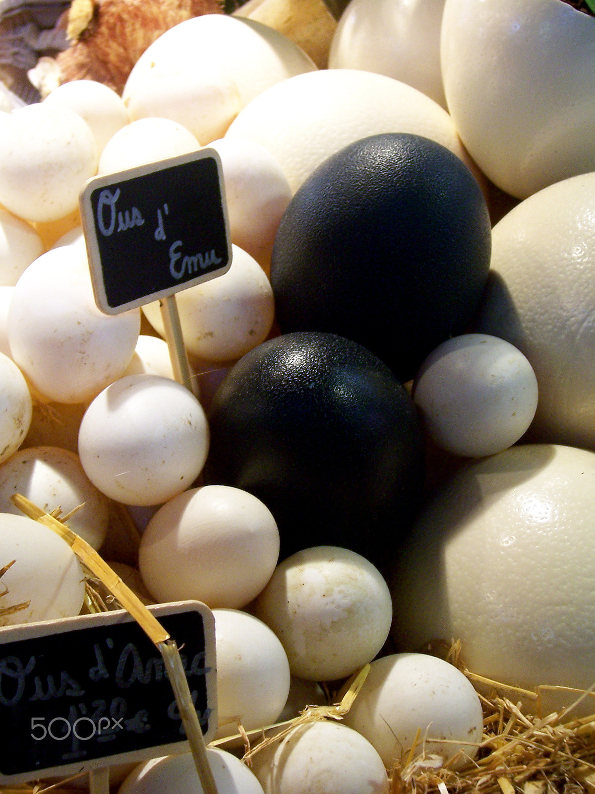 Kodak DX7440 ZOOM DIGITAL CAMERA sample photo. Eggs  black and white photography
