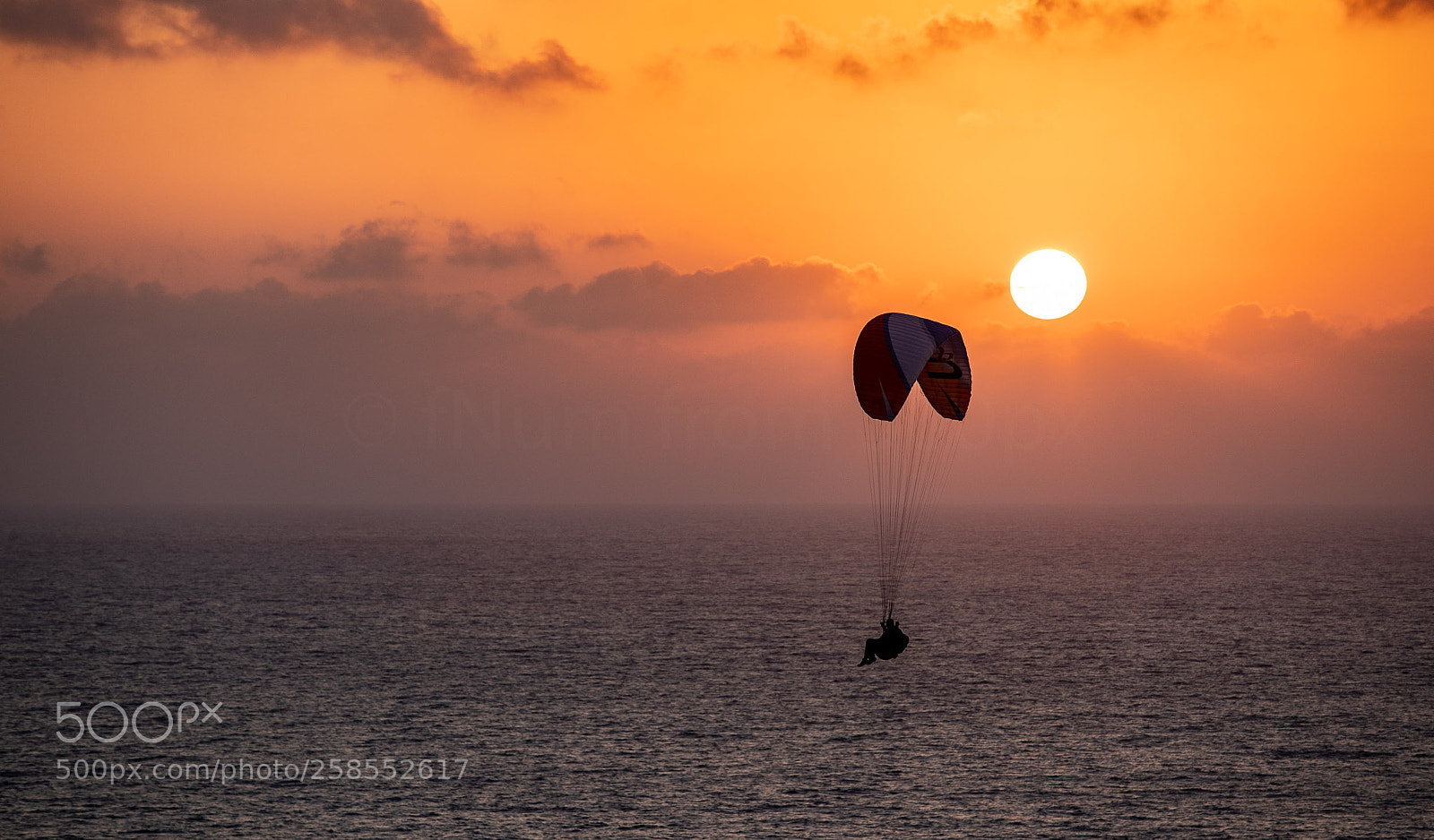 Canon EOS-1D X Mark II sample photo. Glider photography