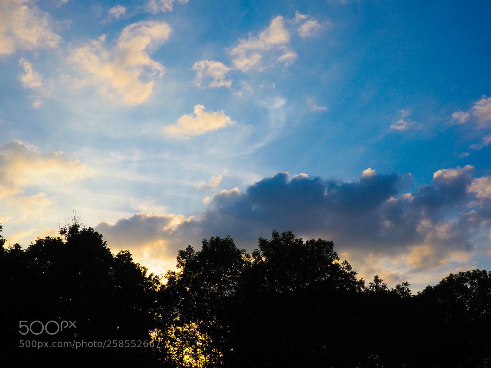 Olympus OM-D E-M5 II sample photo. The evening sun photography