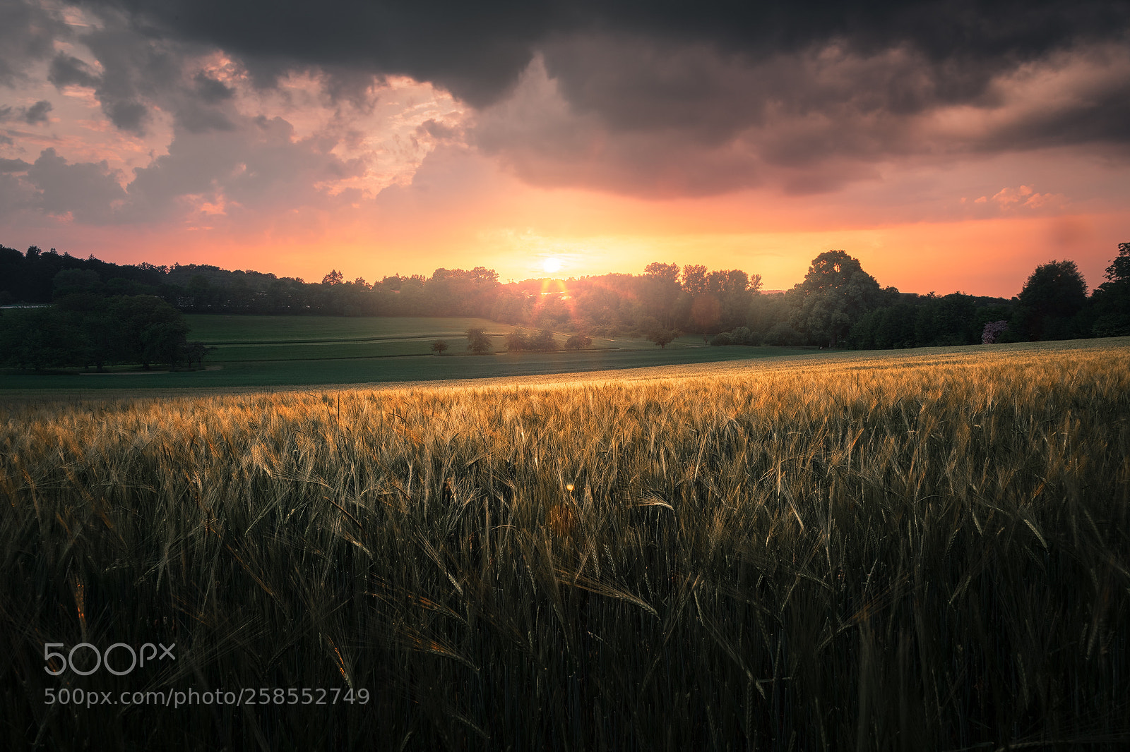Canon EOS 6D sample photo. Unknown germany pt. cccxxvii photography