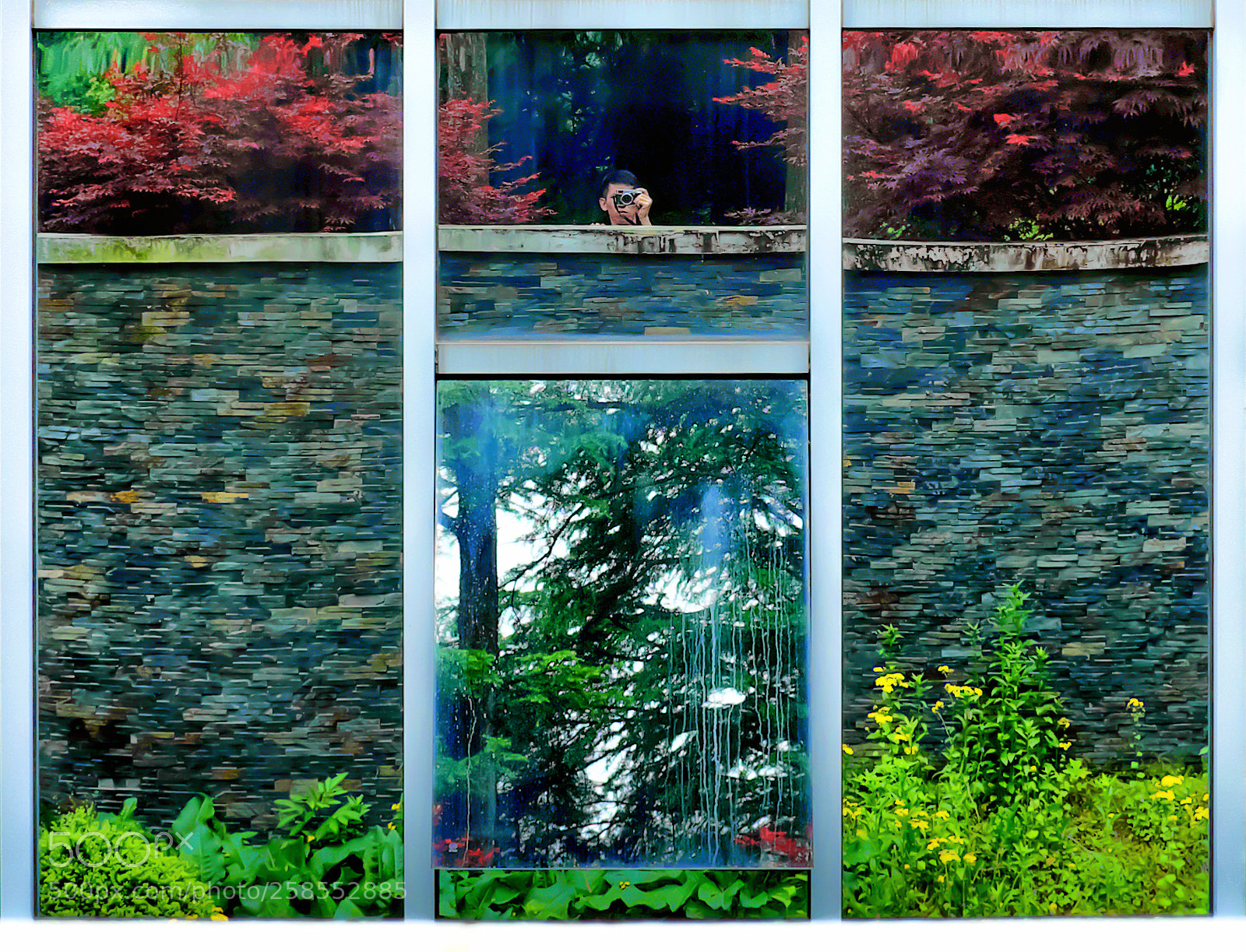 Fujifilm X100S sample photo. 春色满园关不住 photography