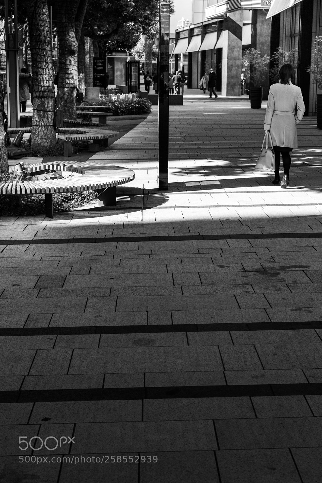 Nikon D800E sample photo. A woman photography