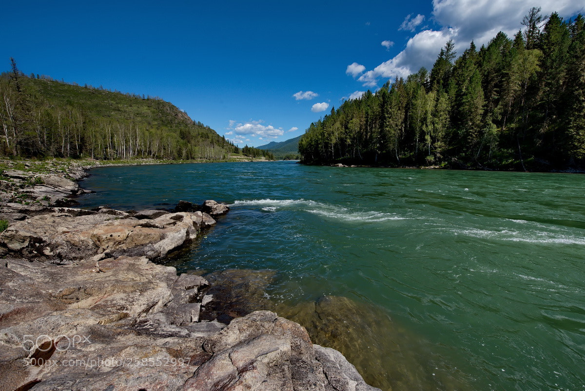 Nikon D750 sample photo. Russia. the south of photography
