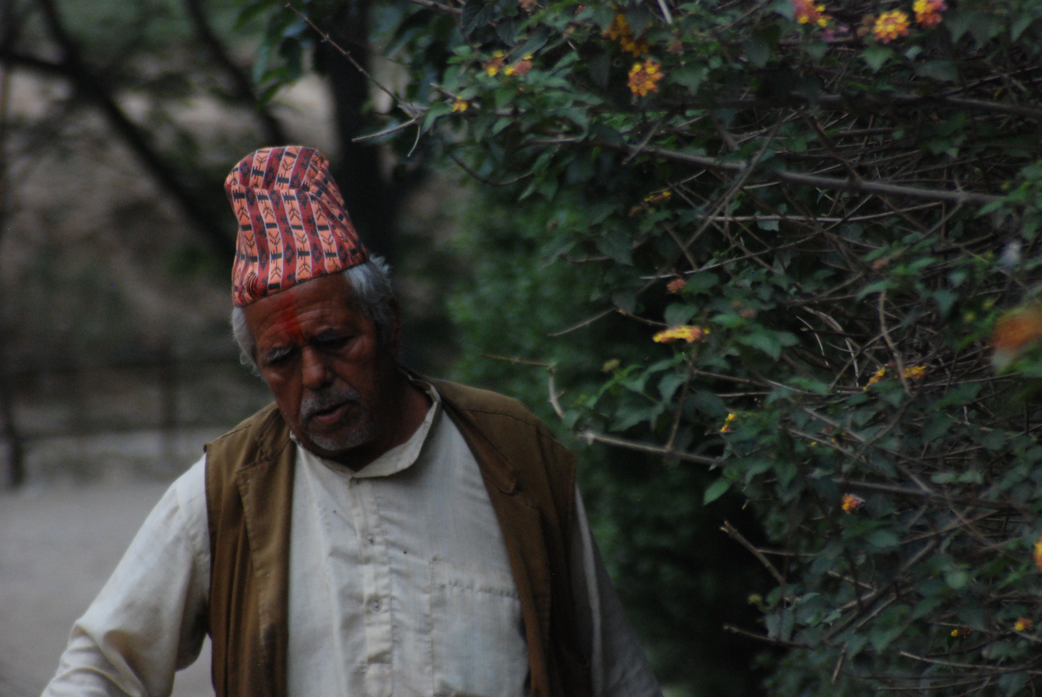 Nikon D80 sample photo. Moments in sitapaila photography