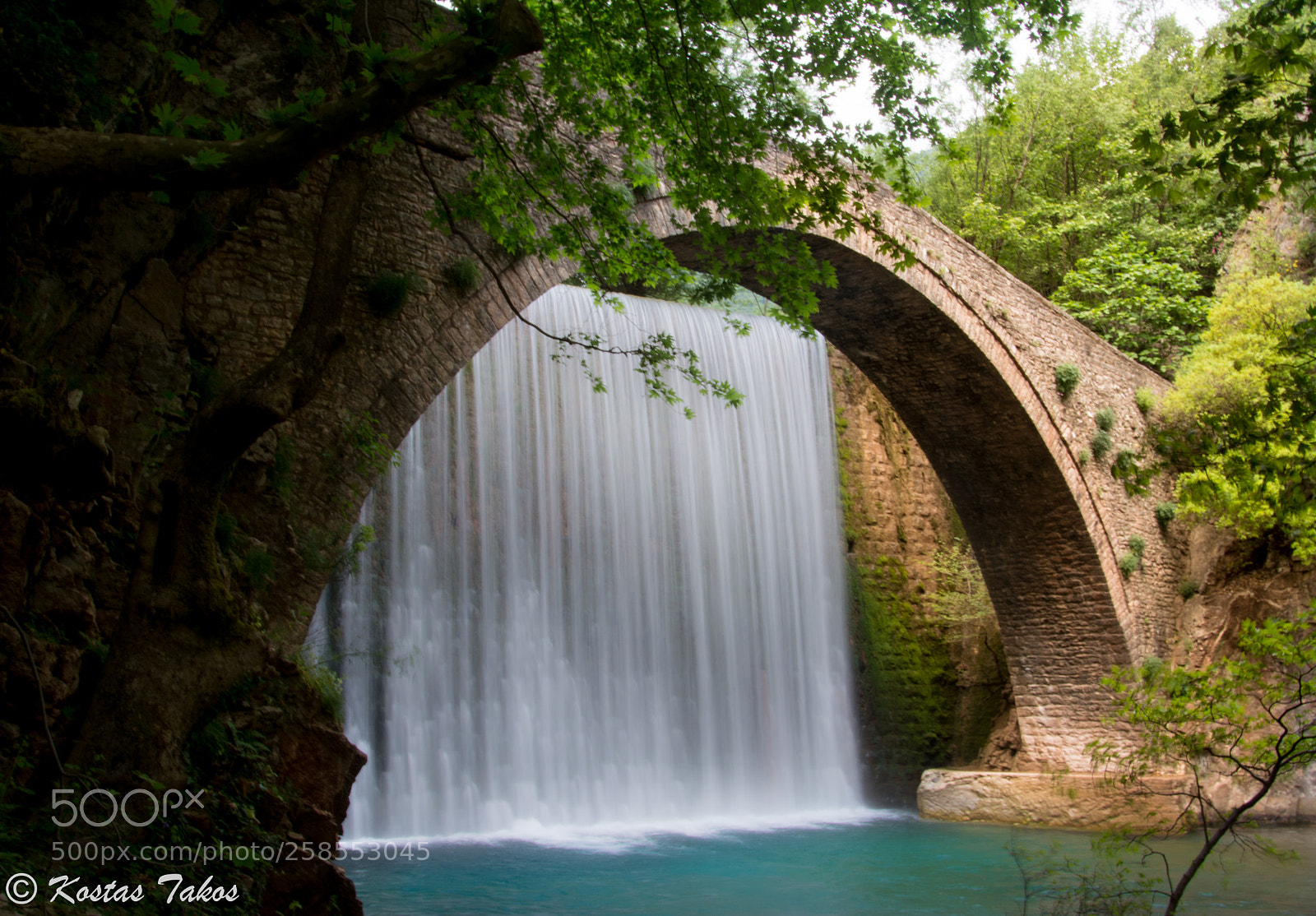 Nikon D5200 sample photo. Νatural beauty photography