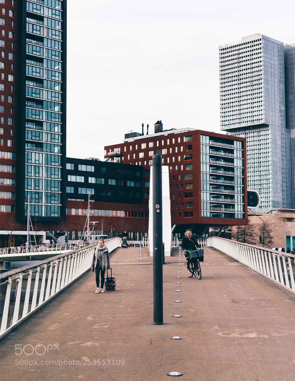 Nikon D5300 sample photo. Return from katendrecht photography