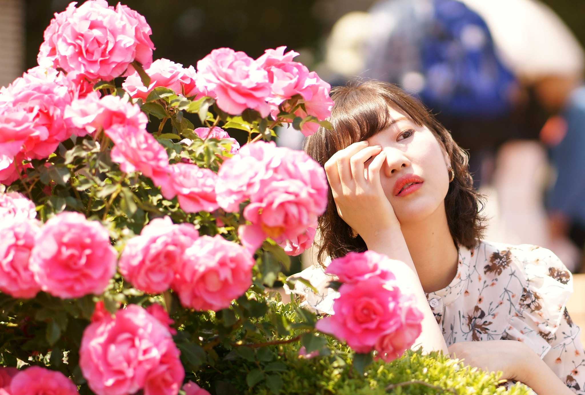 ZEISS Batis 85mm F1.8 sample photo. 2017-05-21 049.jpg photography