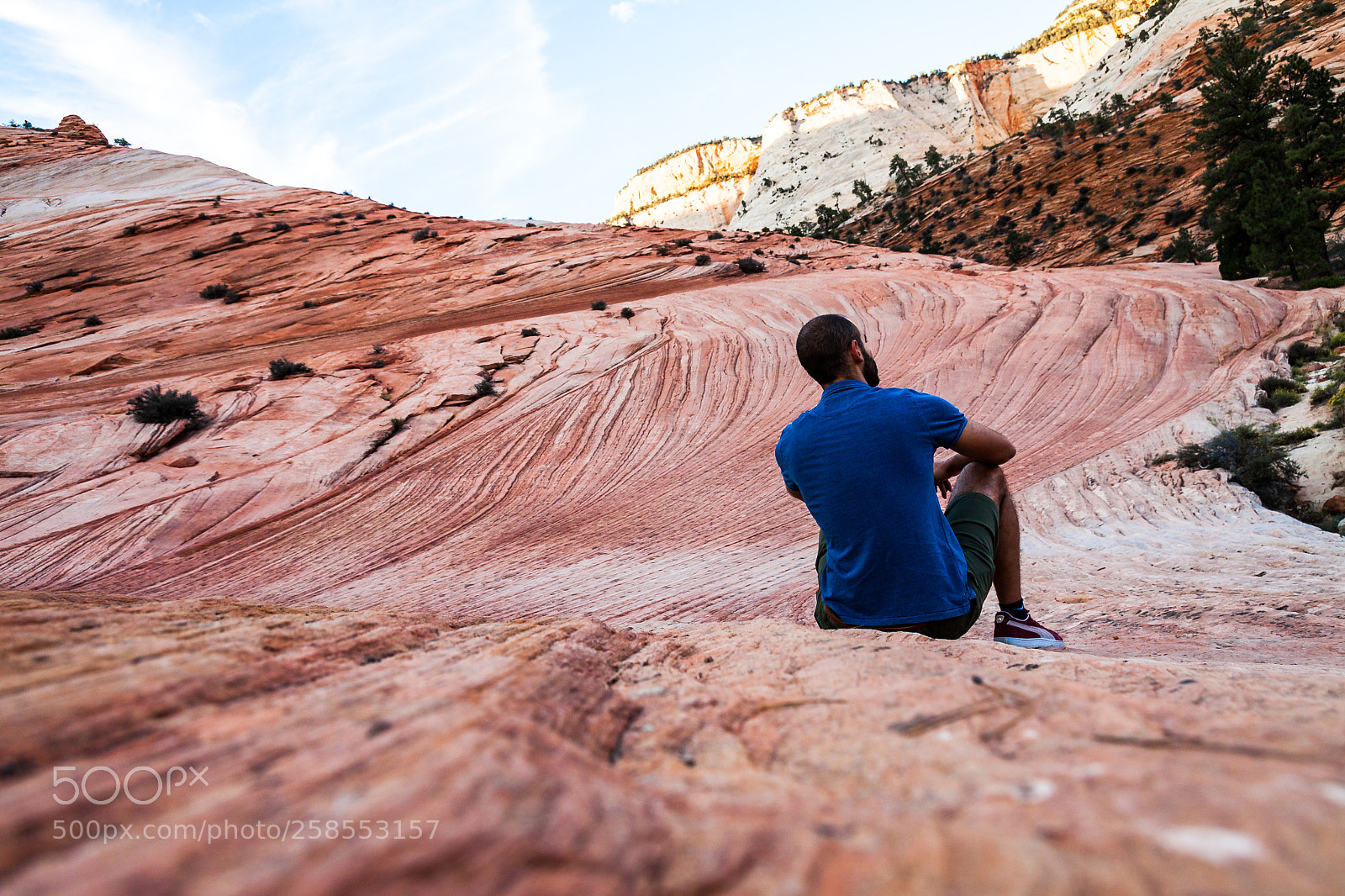 Canon EOS 50D sample photo. Red rock waves in photography
