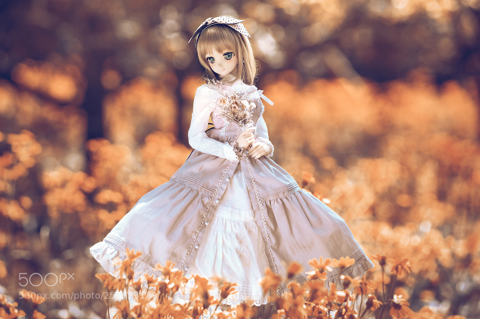Canon EOS 6D sample photo. Flowers bloom photography