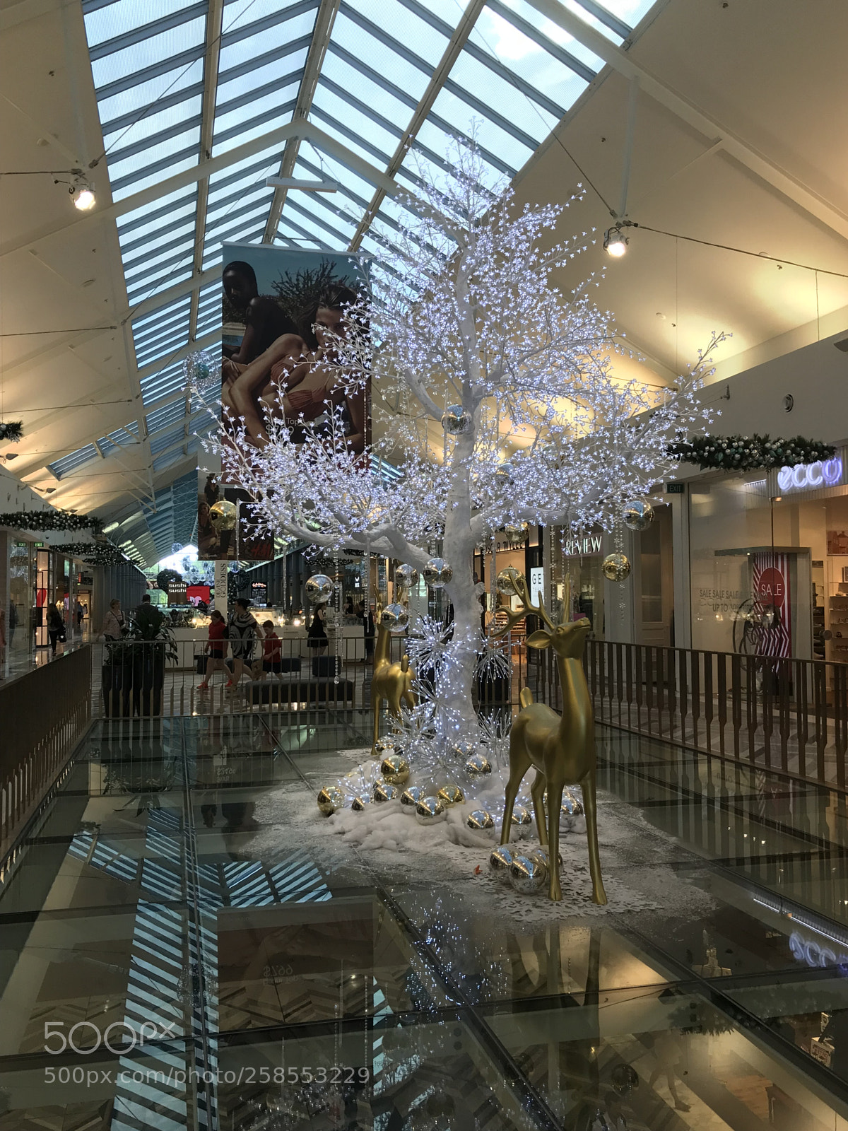 Apple iPhone 7 sample photo. Canberra centre photography