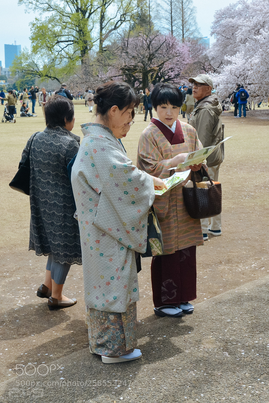 Nikon D7100 sample photo. Japan ladies photography