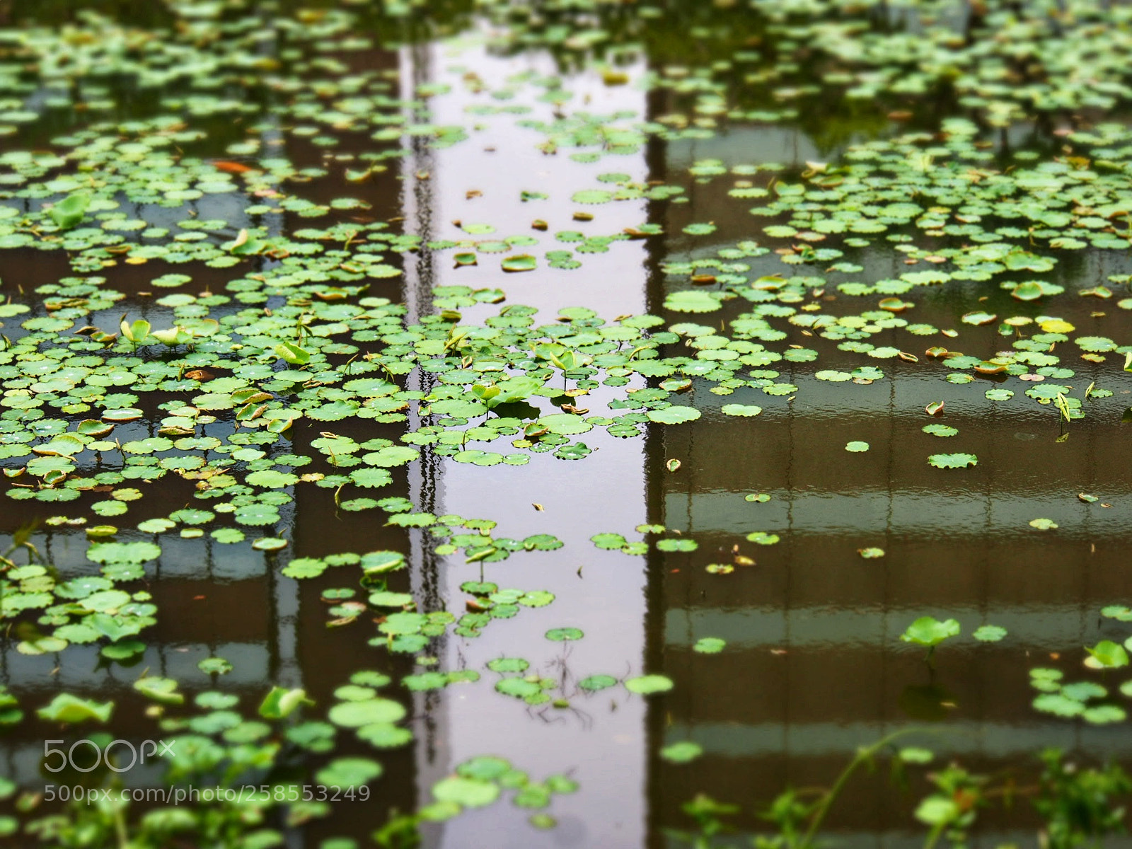 Olympus OM-D E-M1 sample photo. Untitled photography