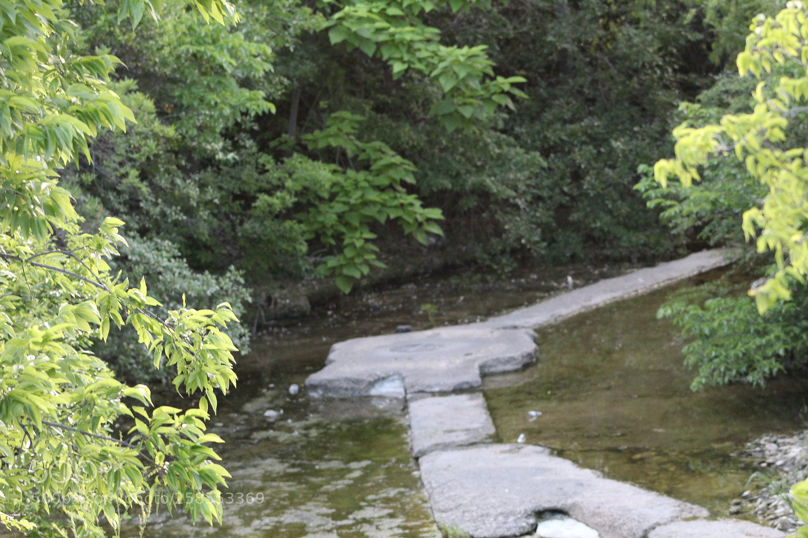 Canon EF 75-300mm f/4-5.6 sample photo. Pathway photography