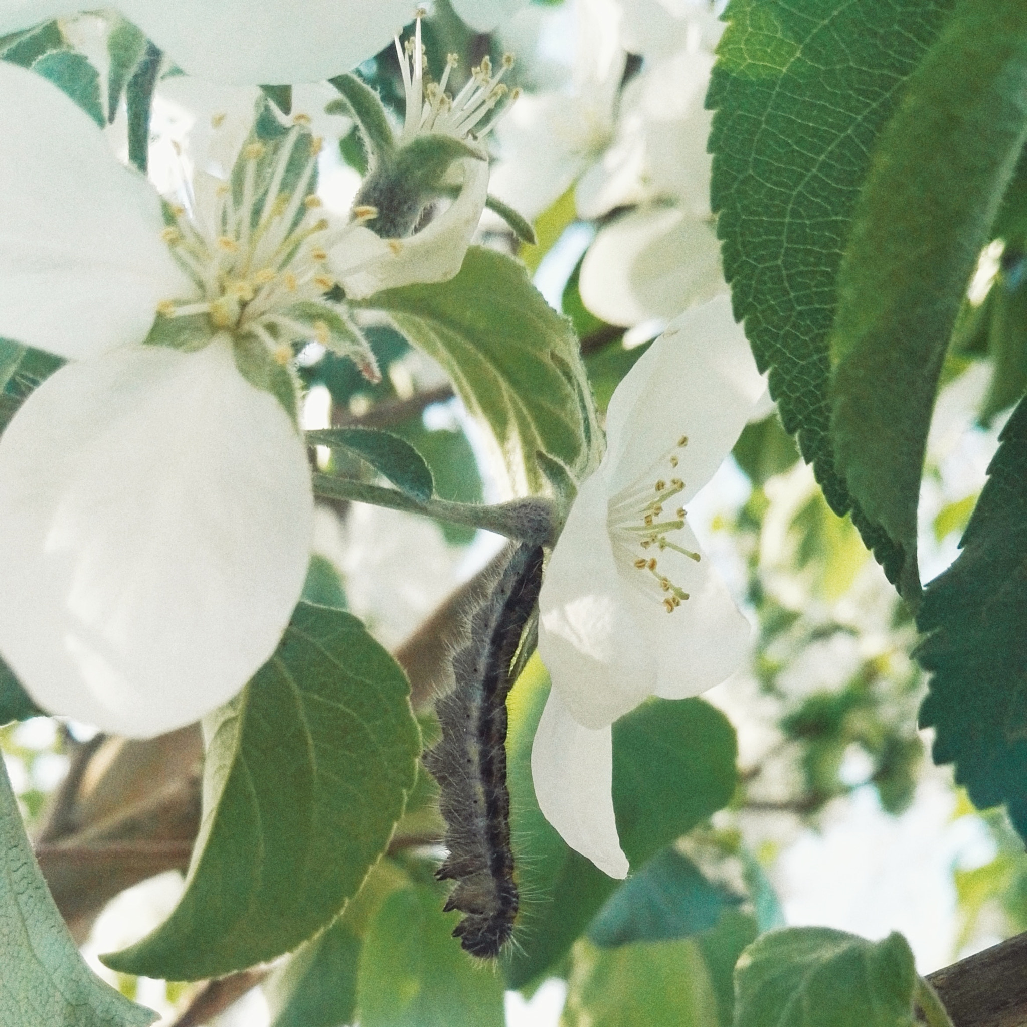 HUAWEI P8 sample photo. 等待 photography