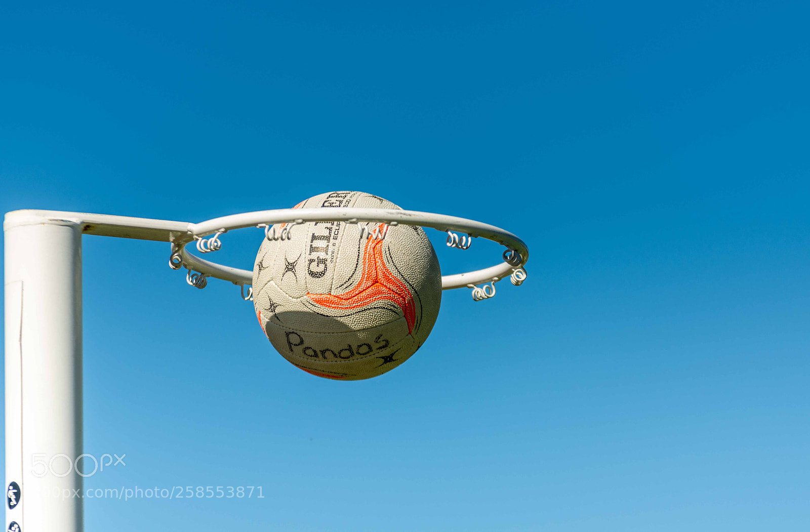 Nikon D7200 sample photo. Netball goal photography