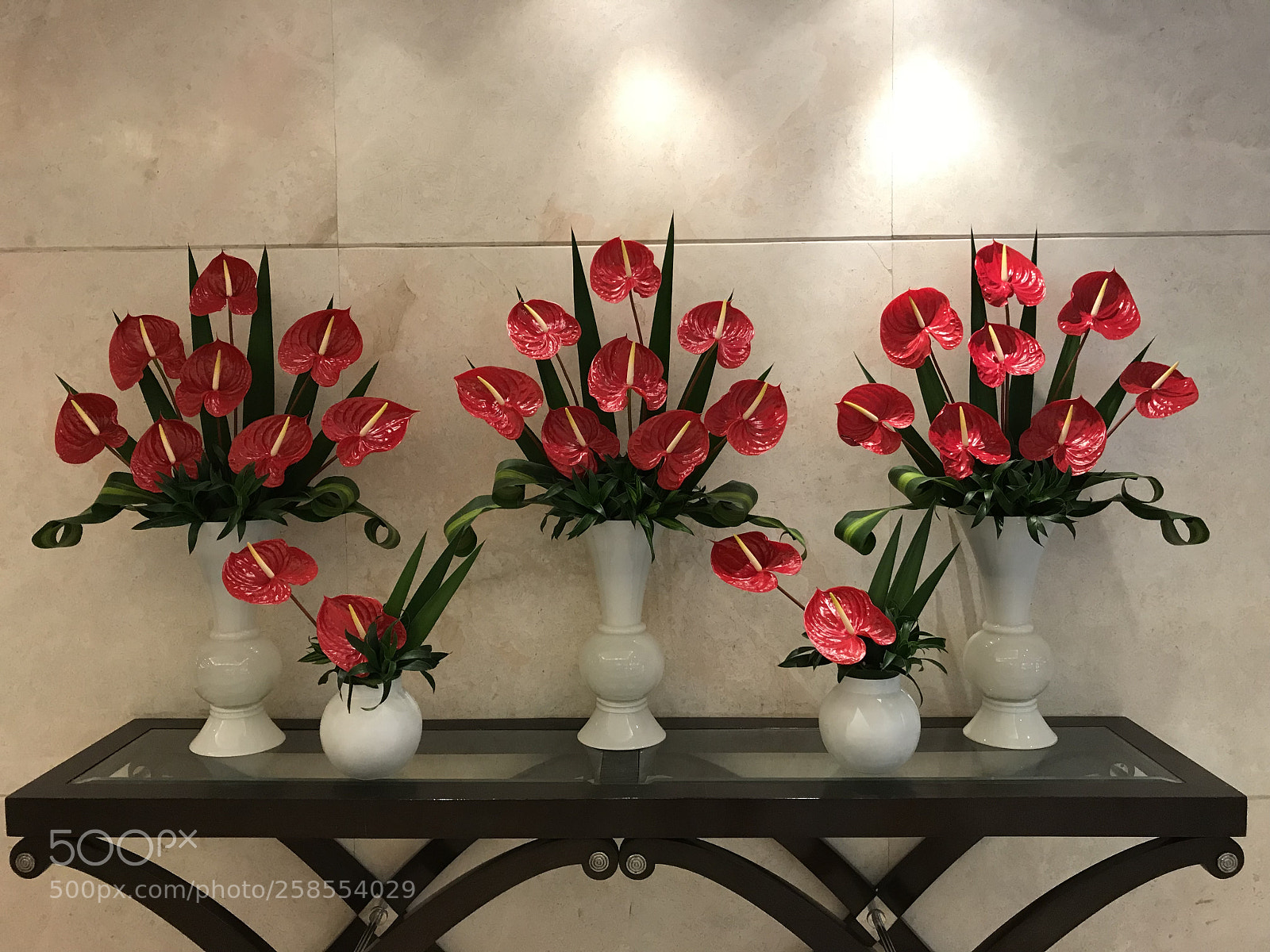Apple iPhone 7 sample photo. Flower symmetry  photography