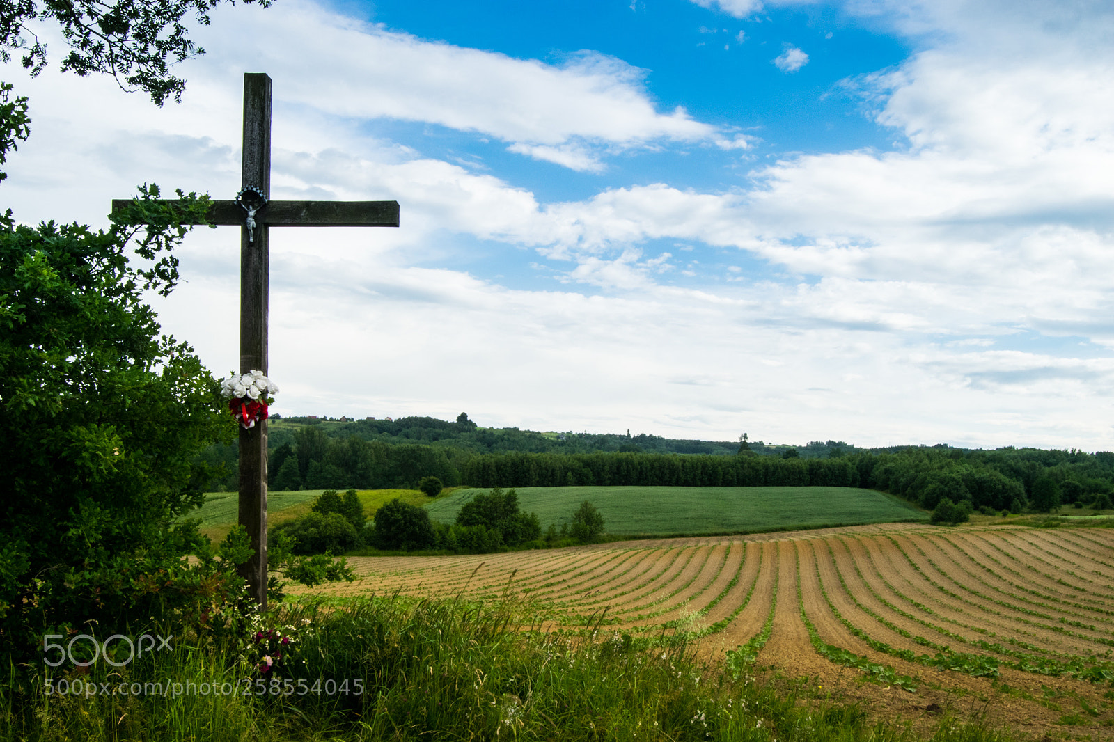 Nikon D3300 sample photo. #polish_village_1 photography