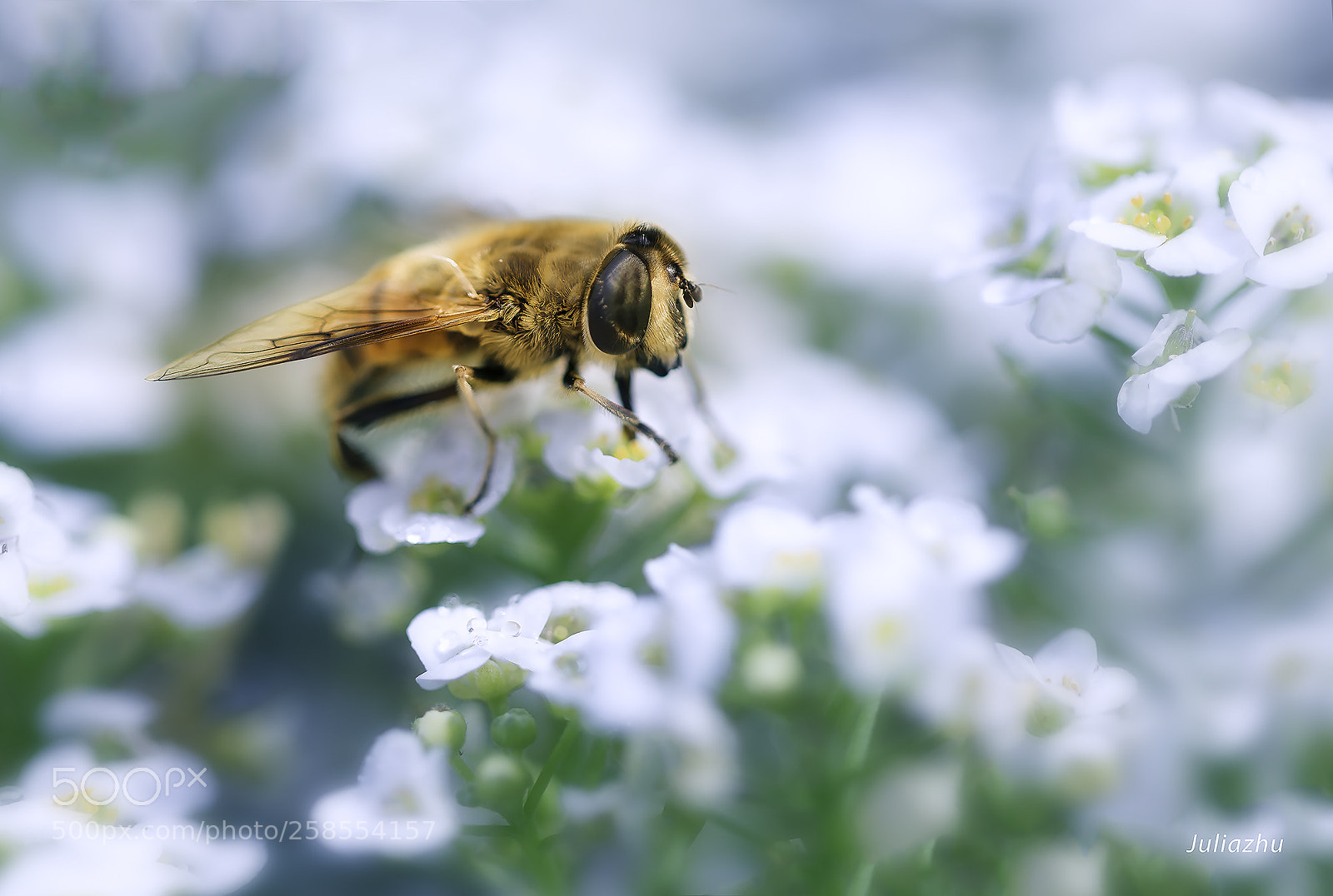 Canon EOS 5D Mark IV sample photo. Untitled photography