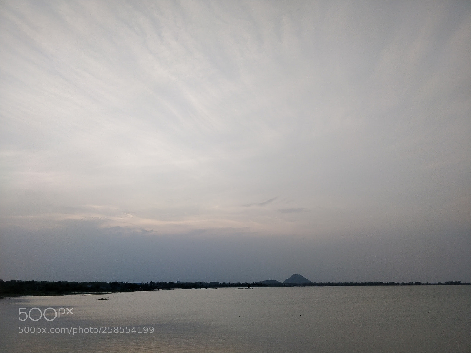 OnePlus 5T sample photo. Untitled photography