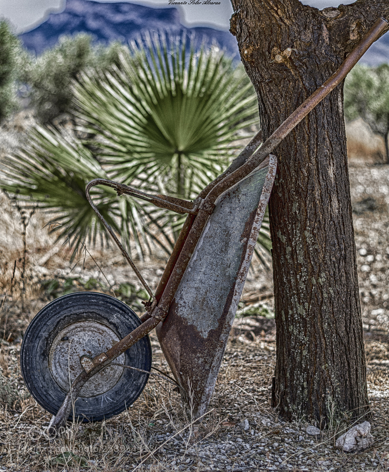 Nikon D5200 sample photo. La carretilla photography
