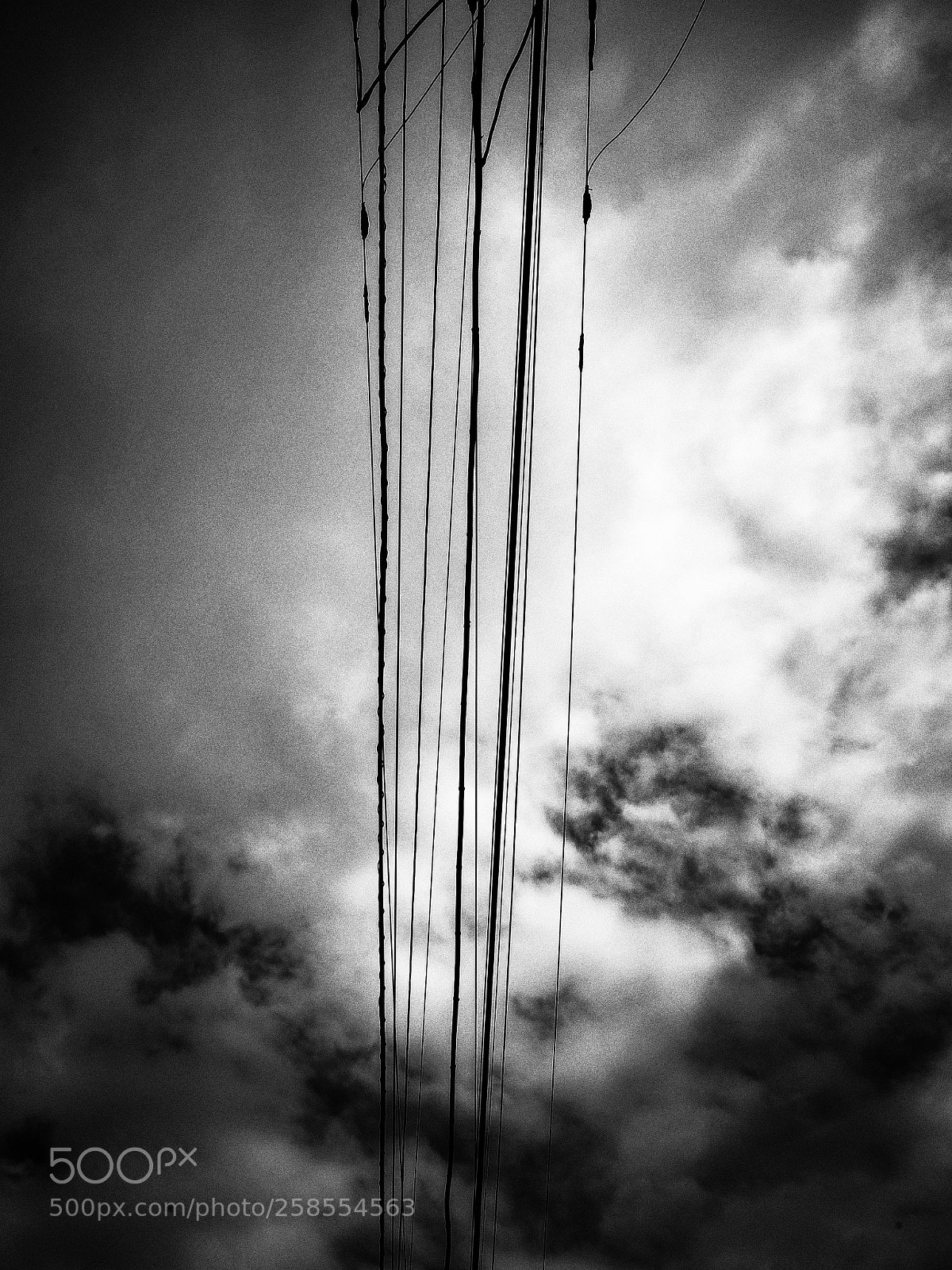 Ricoh GR II sample photo. Untitled photography