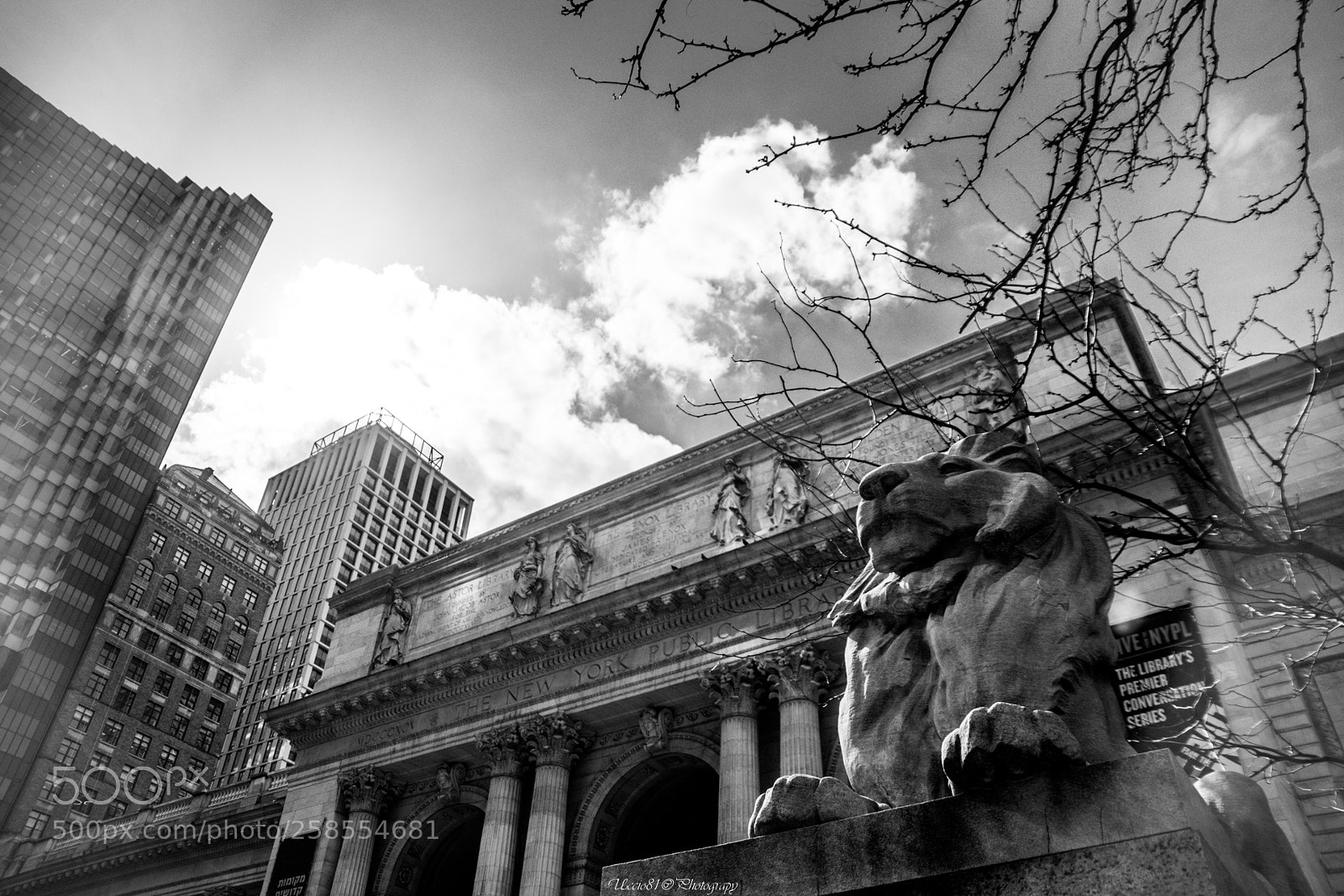 Sony SLT-A68 sample photo. Patience or fortitude -new photography