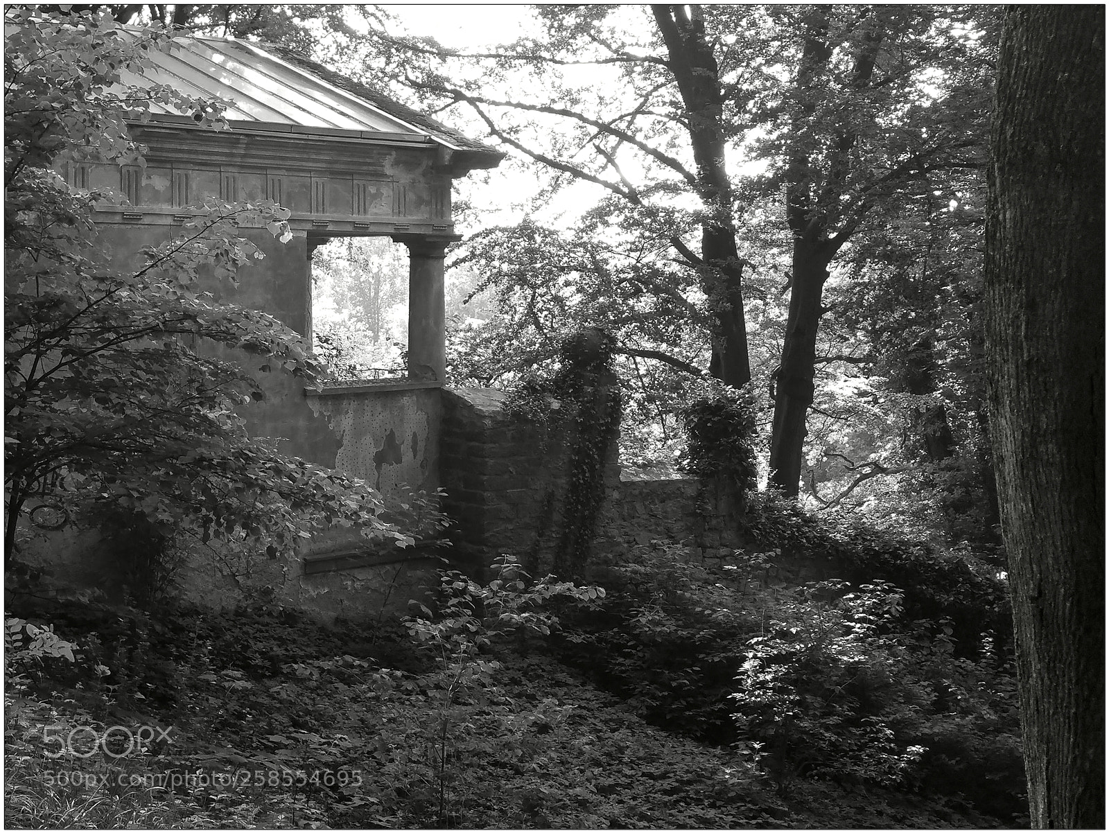 Samsung Galaxy Note4 sample photo. Enchanted garden with small photography